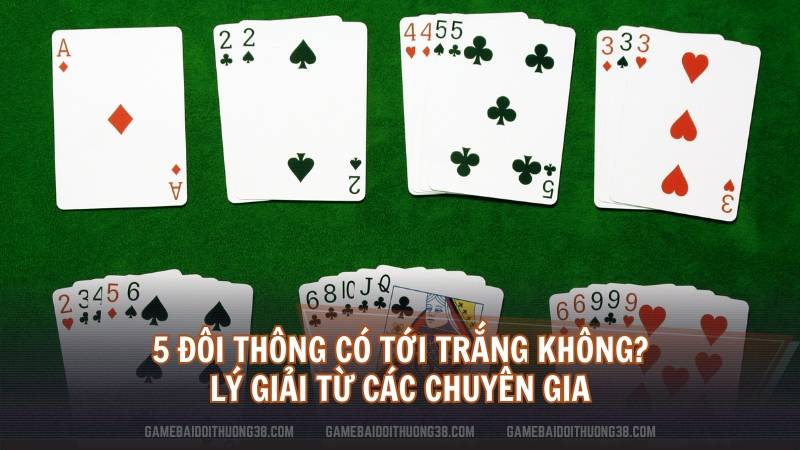 5 đôi thông có tới trắng không