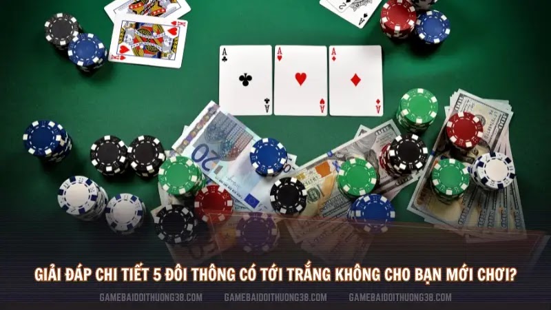 Giải đáp chi tiết 5 đôi thông có tới trắng không cho bạn mới chơi?